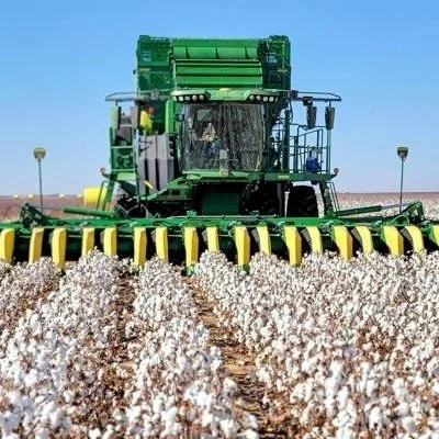 Cotton Market Outlook For 2020