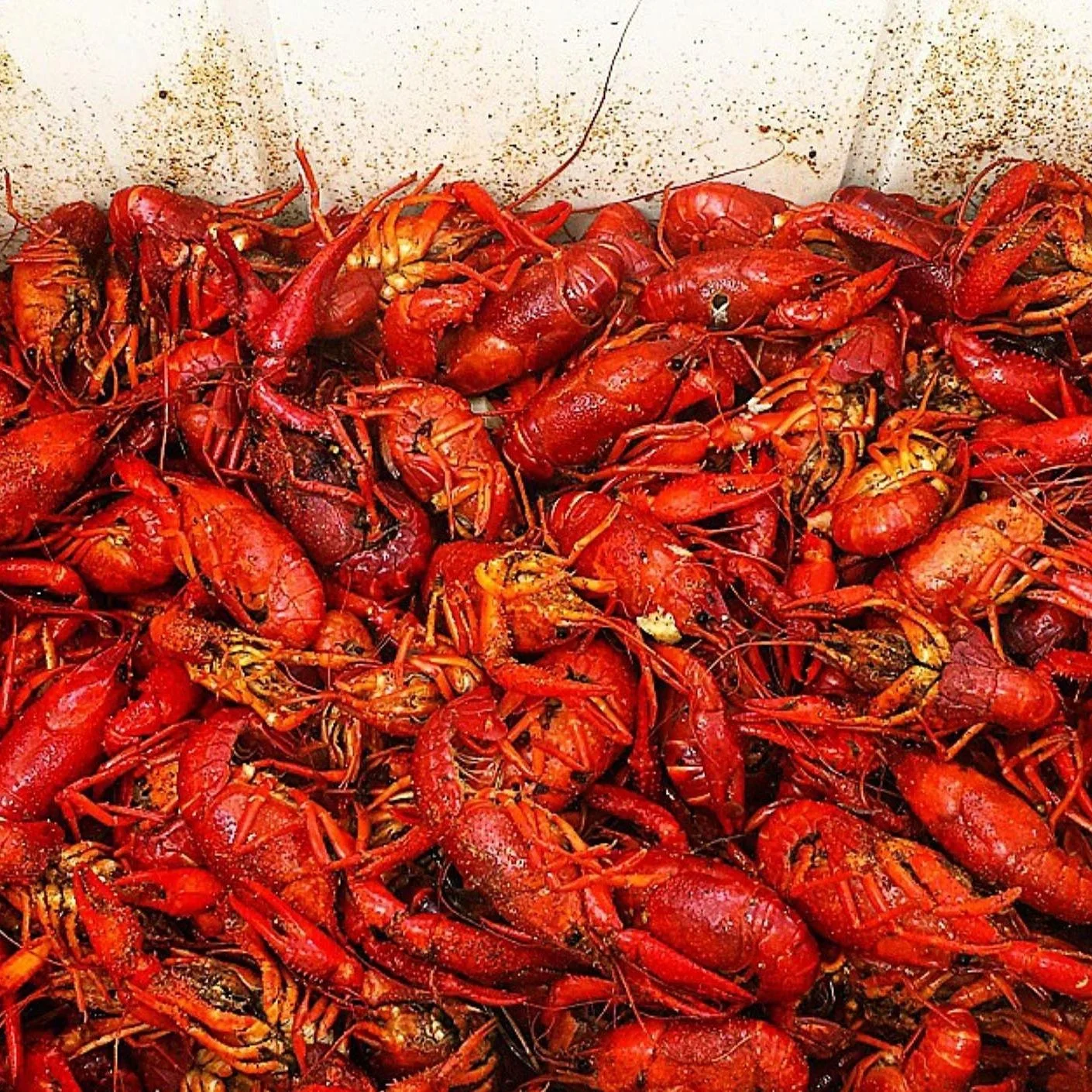 Take a Look Inside Louisiana's Largest Crawfish Farm