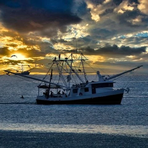 Louisiana Seafood Economic Damage Assessment Opens Door For U.S. Seafood To Assess Treatment in Disasters
