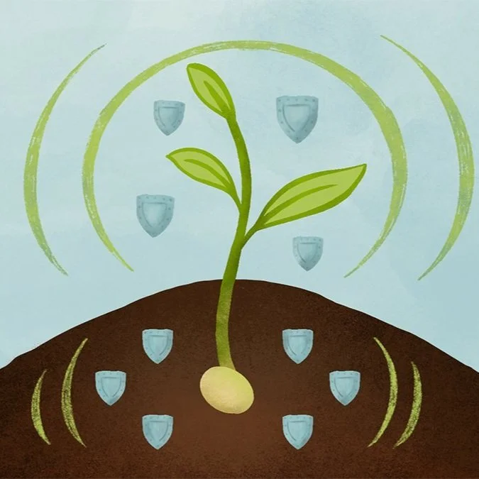 Science of the Super-Small Helps Soybean Growers and the Environment