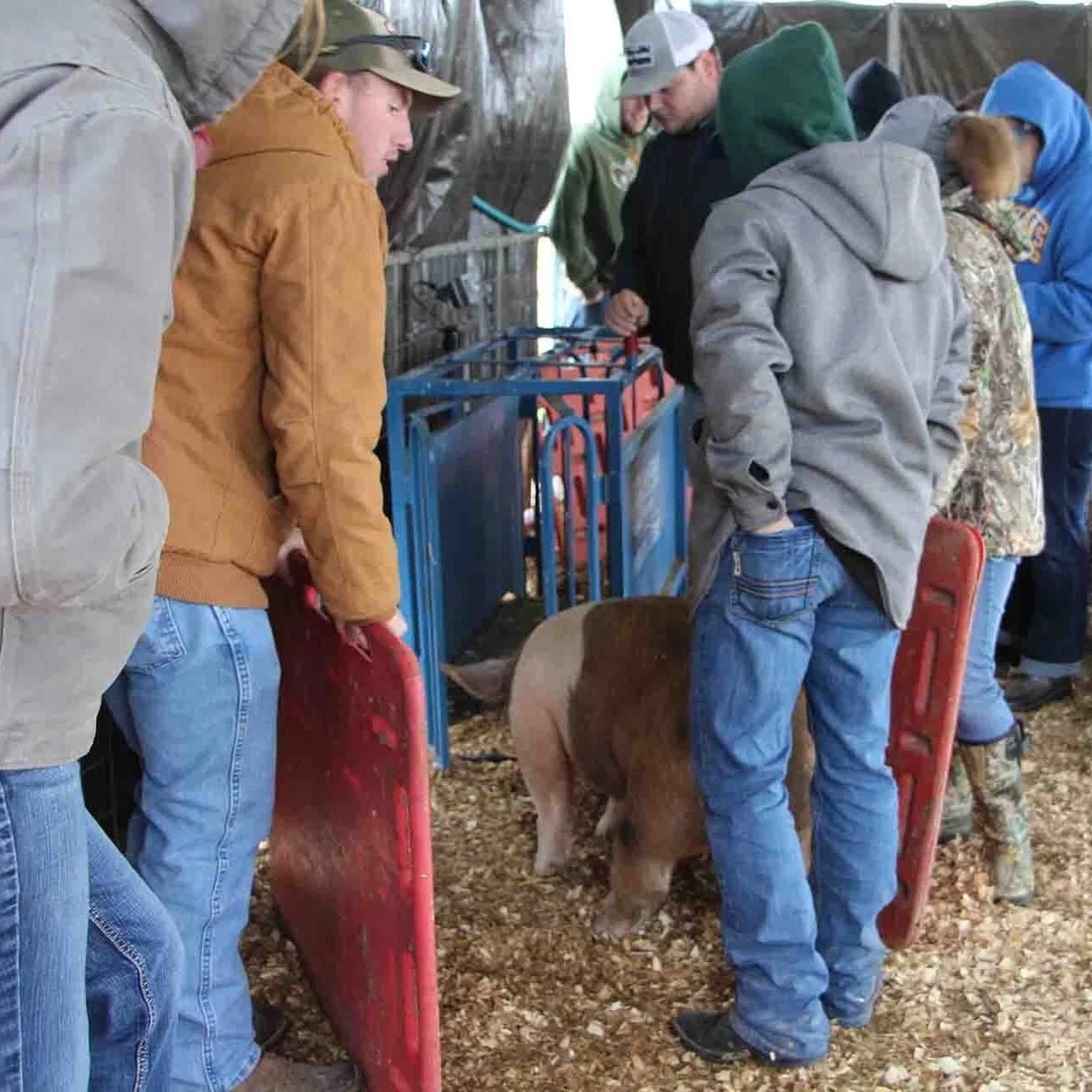 McNeese Agricultural Sciences Students Learn Hands-On
