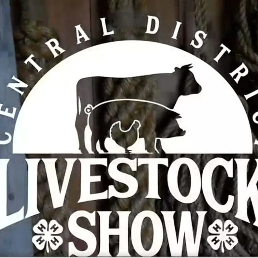 4-H District Livestock Show 2022