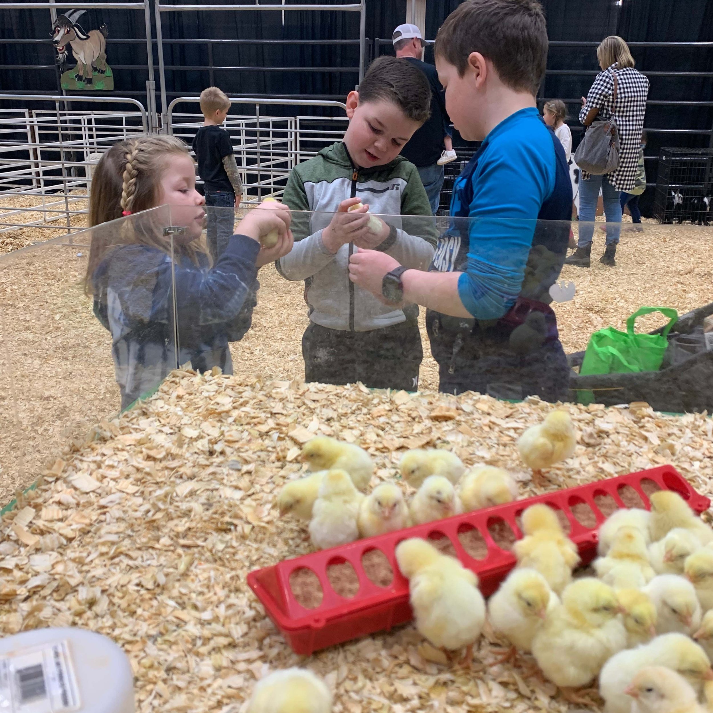 Ag Alley Changed, But Some Things Stayed The Same