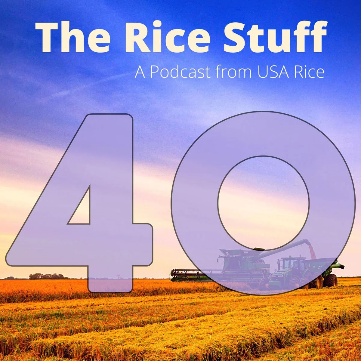 40th Episode of The Rice Stuff Looks at High Protein, Low GI Rice