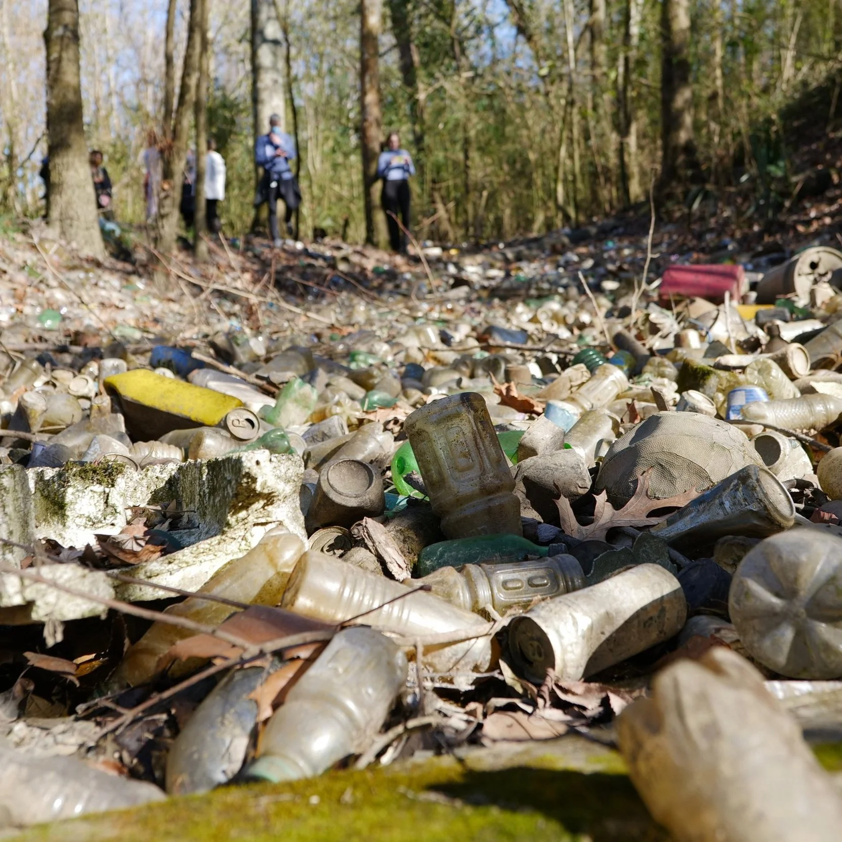 Watershed Moment: LSU AgCenter Botanic Gardens Awarded EPA Grant for Trash Abatement