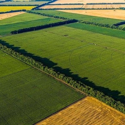 USDA Cuts Corn, Raises Soy And Wheat Acreage For 2022