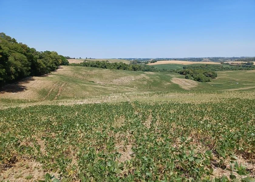 South American Drought Impacts 50% of World’s Soybean Supply