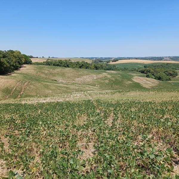 South American Drought Impacts 50% Of World's Soybean Supply