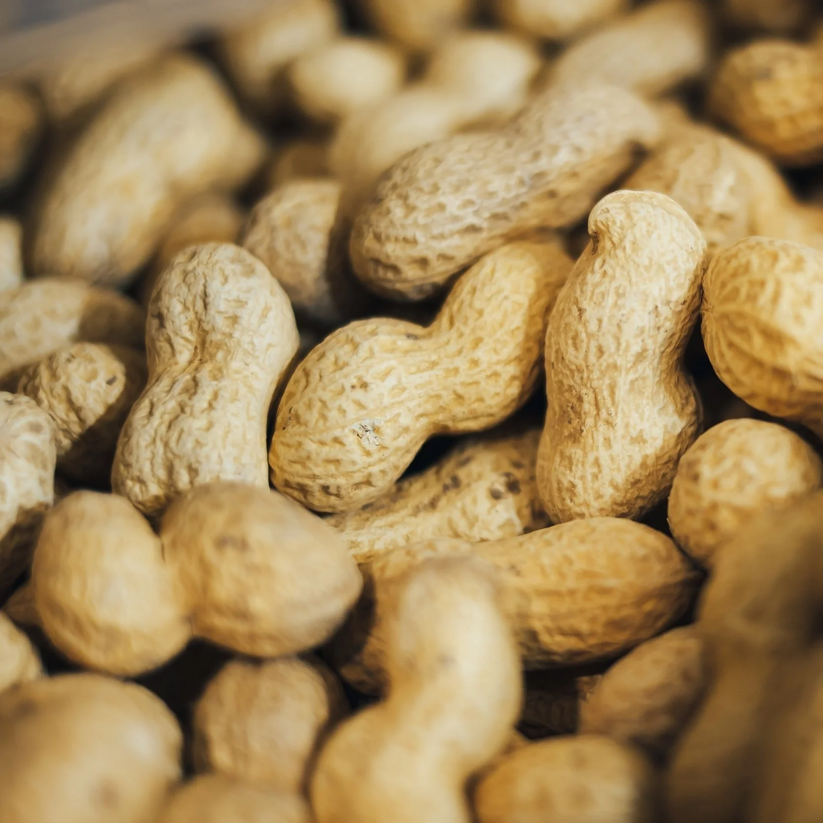 Louisiana Farm Bureau Federation Seeks National Peanut Board Nominees