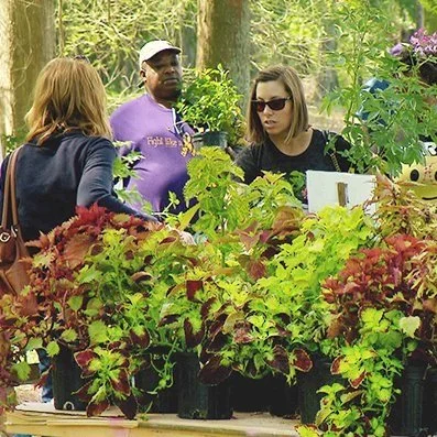 Master Gardener Plant Sale Scheduled for March 26