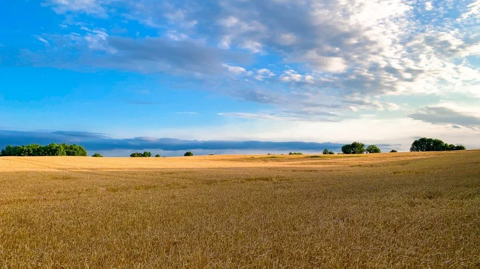 Production Costs Outpacing Commodity Prices