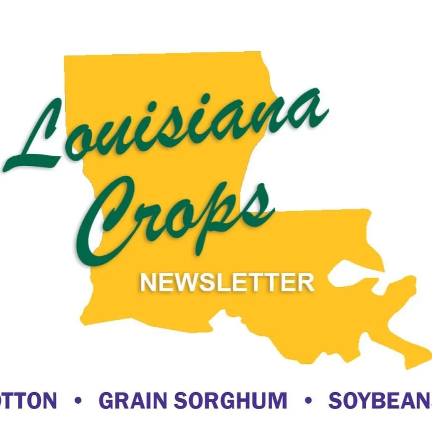 Louisiana Crops Newsletter, Volume 12, Issue 2, March '22