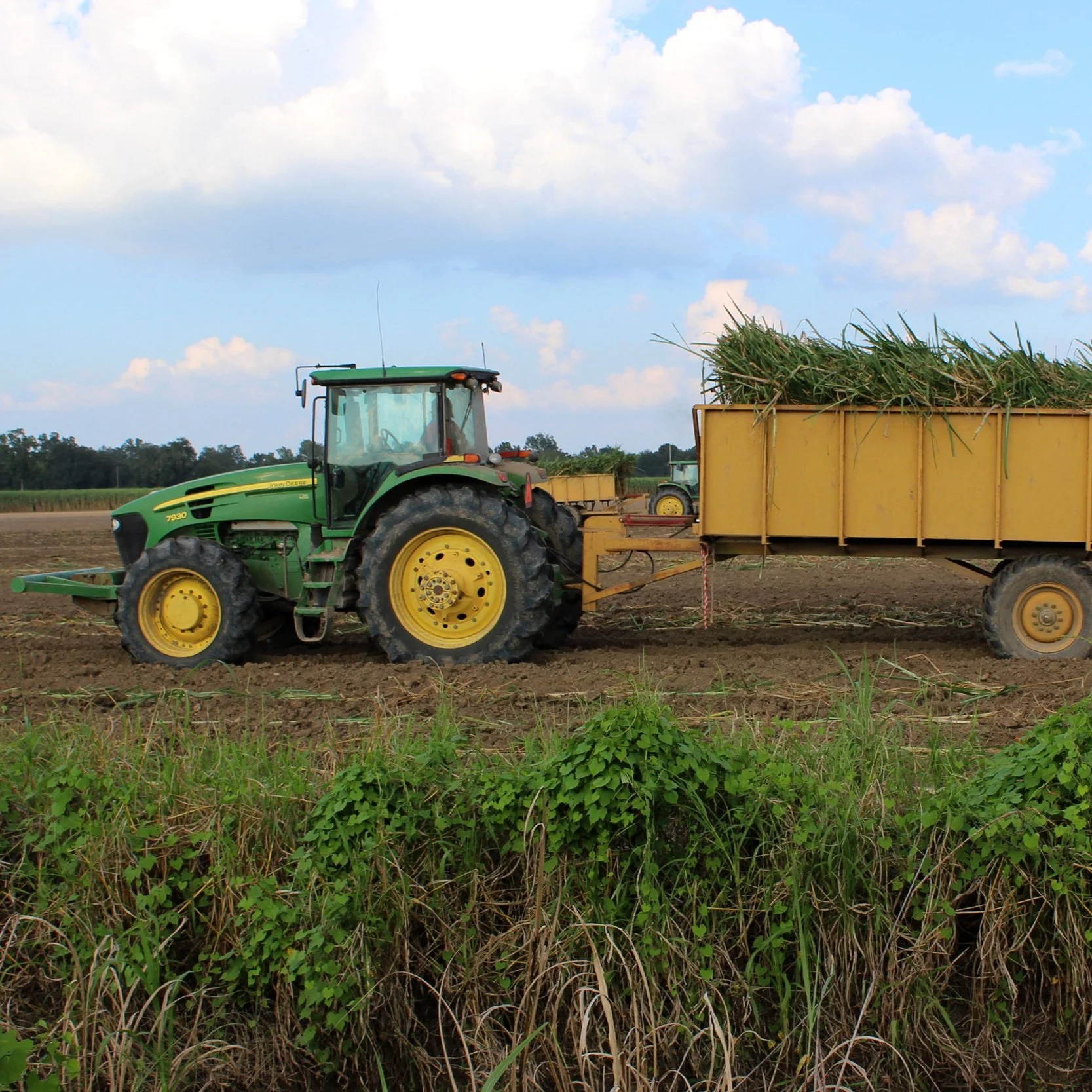 Farmers Stand on the Front Lines of Food Security 
