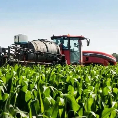 Louisiana Corn: Optimum Nitrogen Fertilizer Rate and Timing