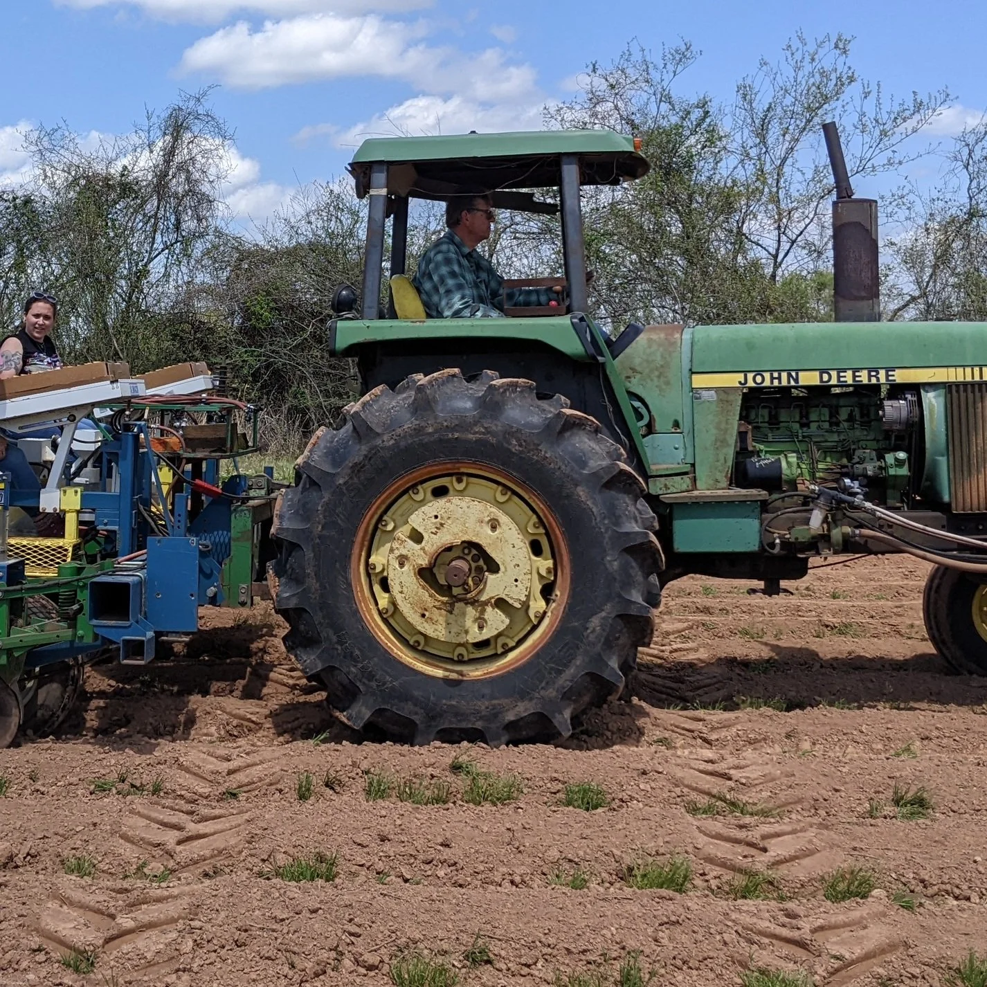 2022 LSU AgCenter Planting Date Trial
