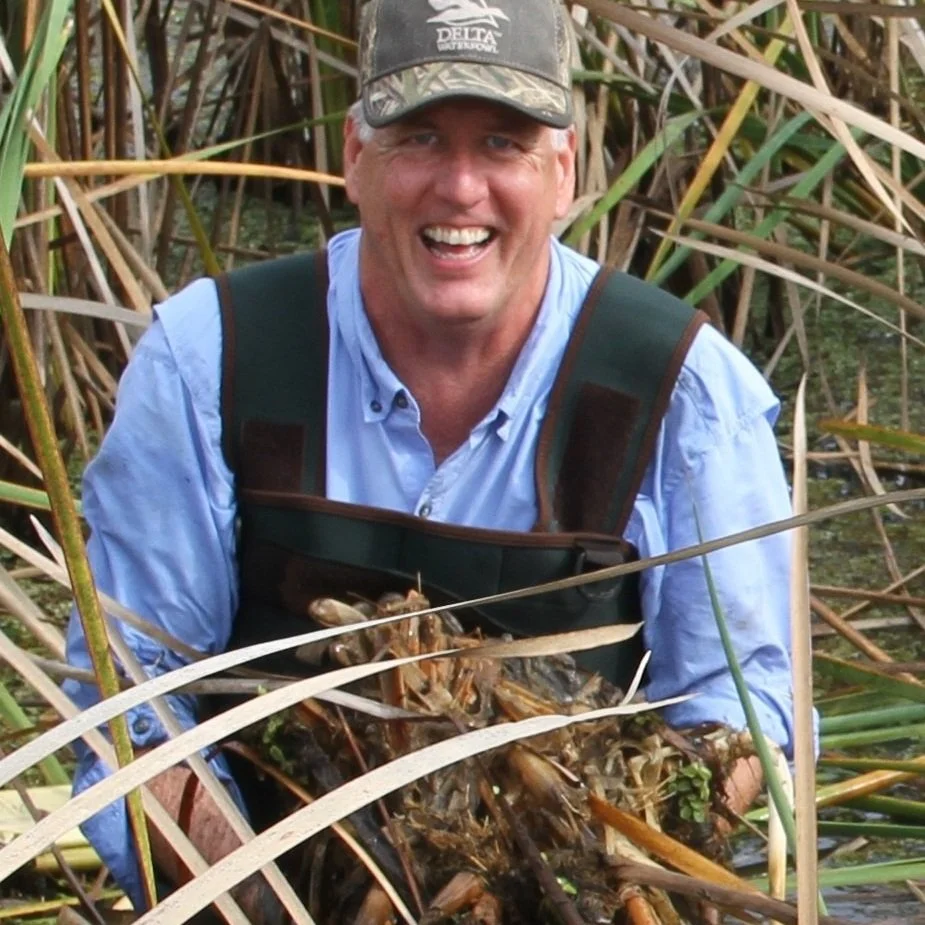 LSU AgCener Has Storied History In Wetlands Management