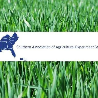 LSU Researchers Receive Honor