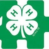 Louisiana 4-H Sponsors Mental Health Retreat