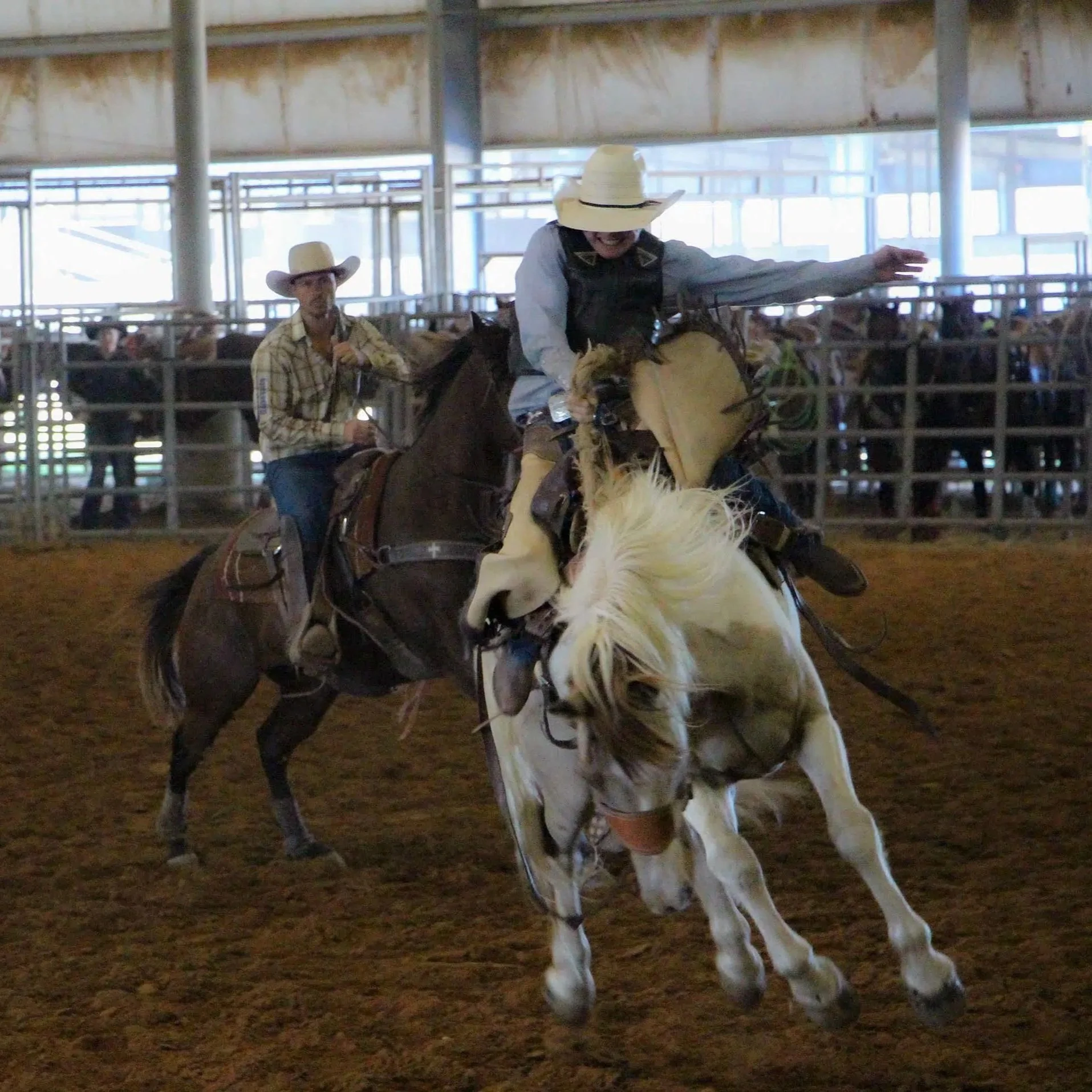  McNeese Rodeo Rules the Southern Region
