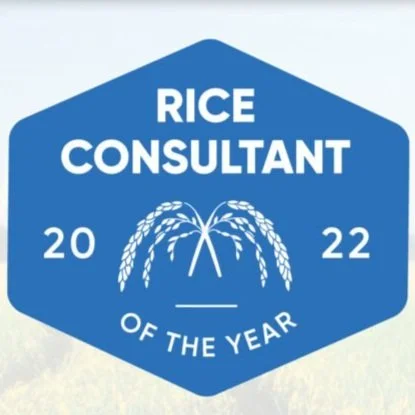 2022 Rice Consultant Of The Year Nominations Open