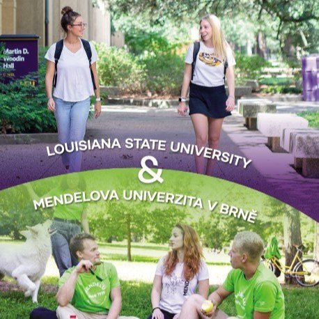 LSU Recognized for Innovation in International Education