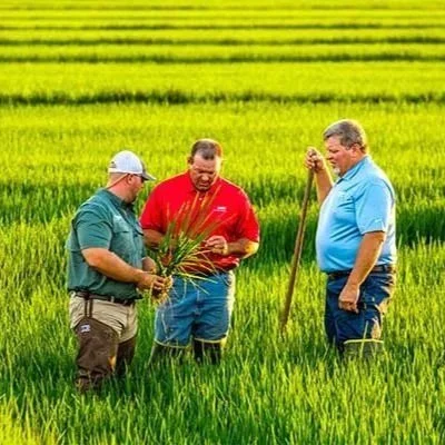 Horizon Ag Field Day, Kaplan, June 28