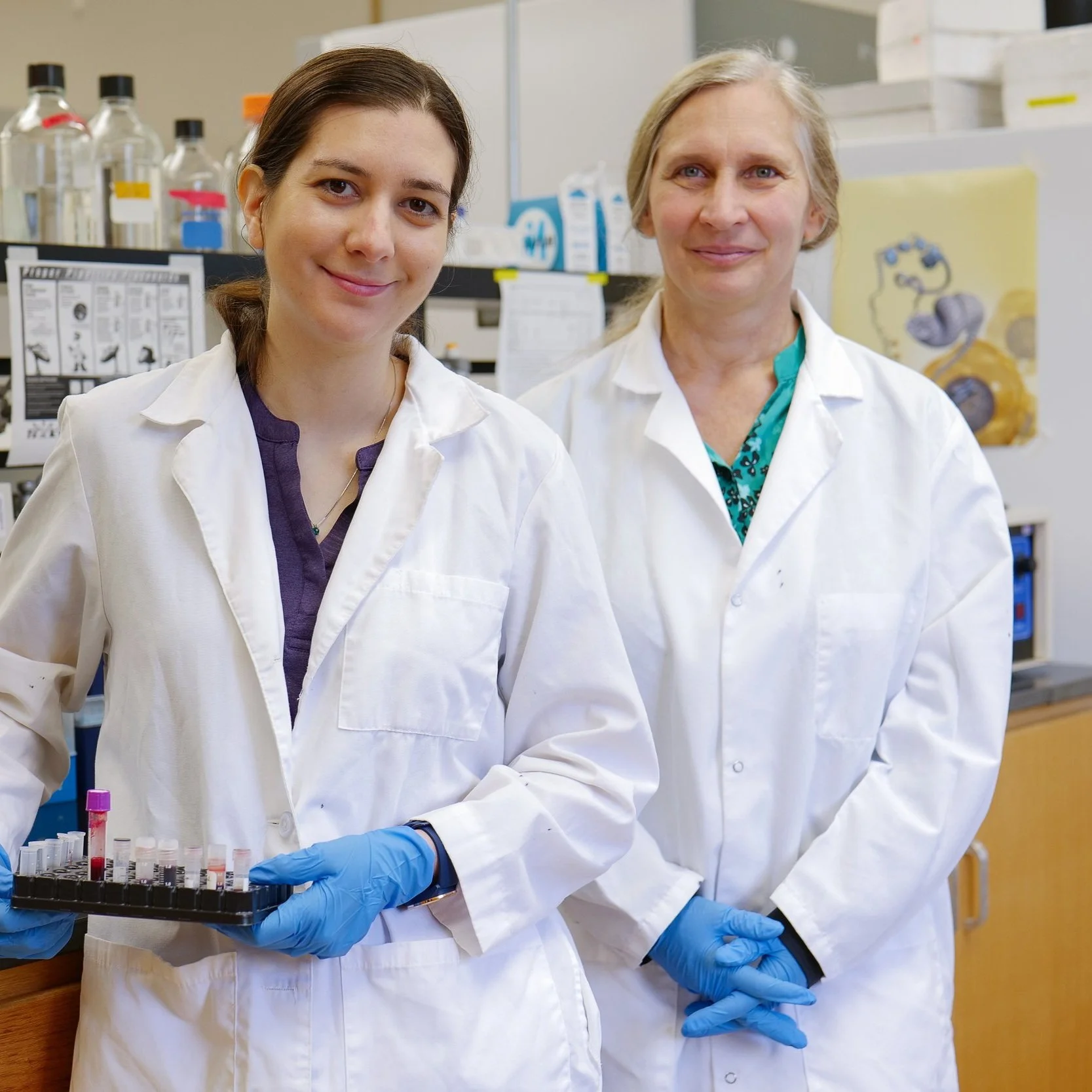 TAF To Fund Graduate Student Conducting Genetic Research on Tigers