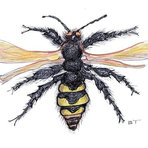 Warning! Do Not Kill the Killer Look-alike