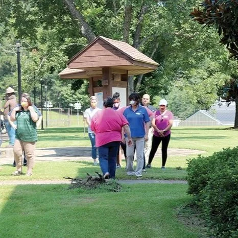 Fun Way to Put the Forest into the Classroom