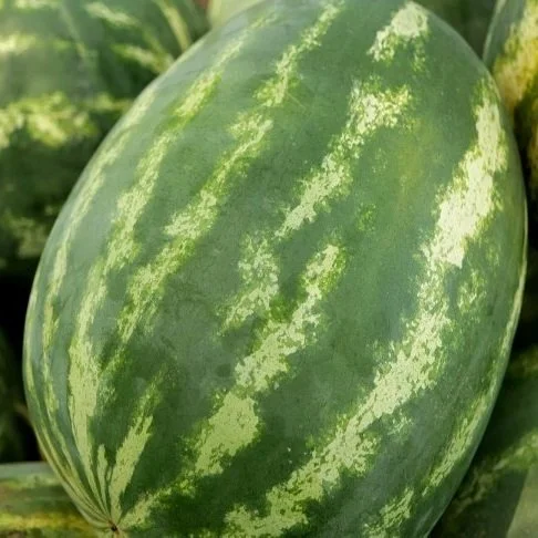 Beat The Heat With An Ice-Cold Watermelon