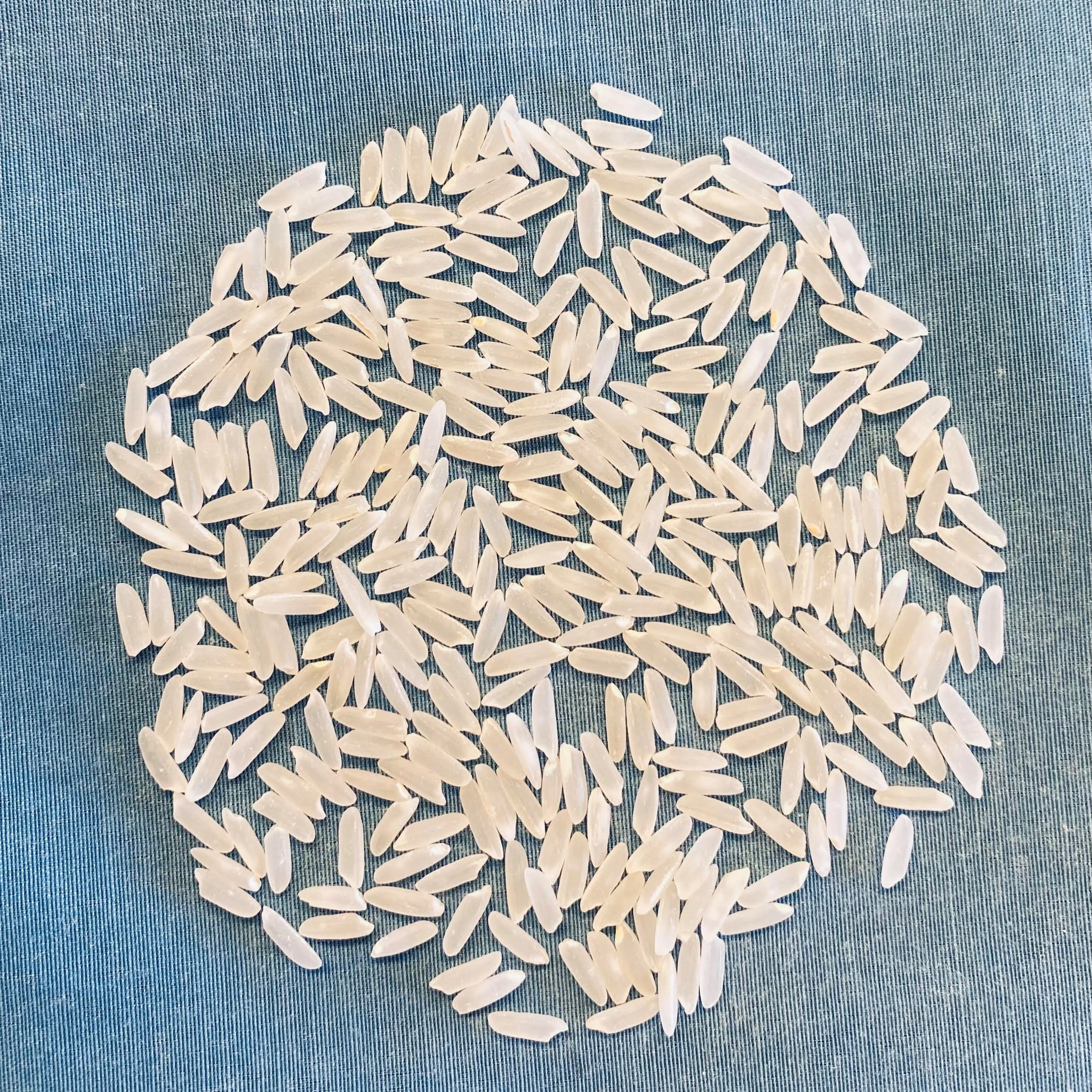 Breeding Rice For Latin American Export Markets
