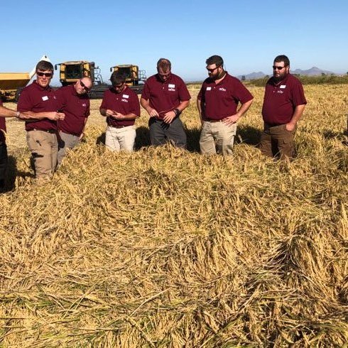 Rice Leadership Development Program Now Accepting Applications