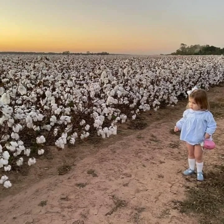 Cotton Profile Is Much Different Than 40 Years Ago