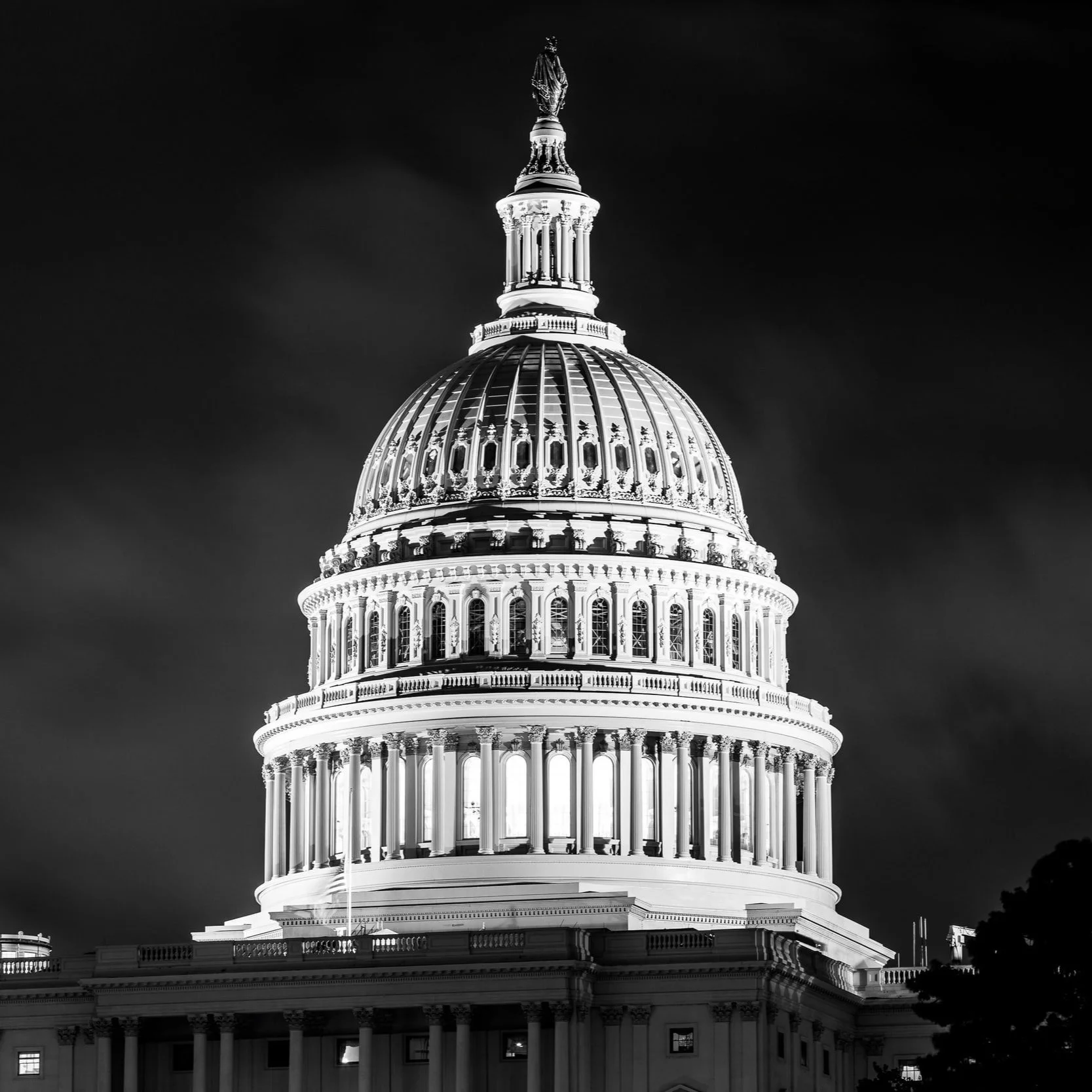 Agricultural Policy and Market Situation Newsletter: July 2022