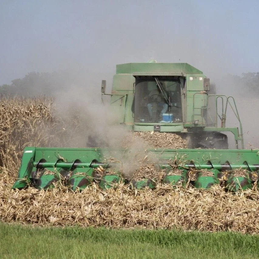 Concordia Corn Harvest Approaching
