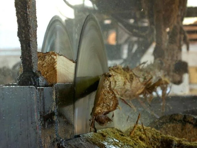 Sawmills and Wood Pellet Plants Pop up Across Louisiana as Firms Bet on Timber Industry