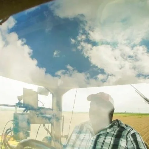 Drought Has Killed the Cotton Crop in Texas. In wetter Louisiana, it's Helping Spark a Revival