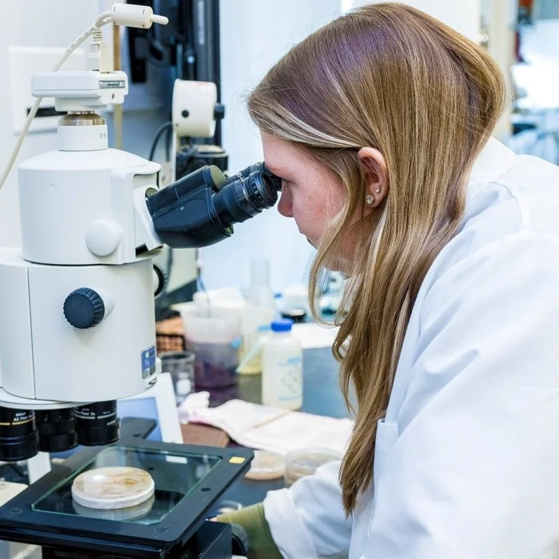 Under The Microscope: Researching A Better Bean