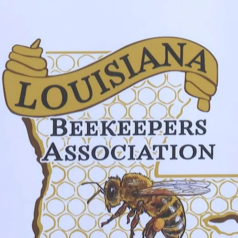 What’s All the Buzz About?