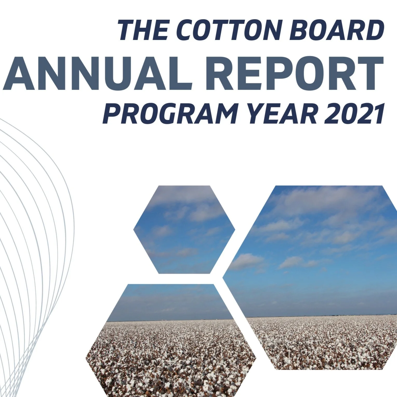 The Cotton Board Annual Report For Program Year 2021