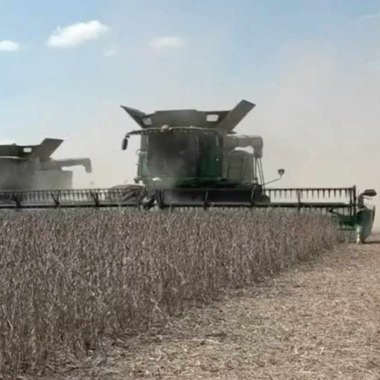 Louisiana Farmers are Trying to Harvest What's Left After Heavy Rains