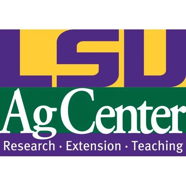 Rice Market Update: September 2022