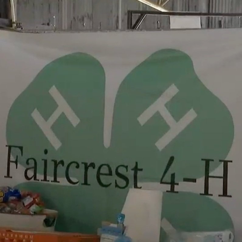 4-H Students Shine at the Union County Fair