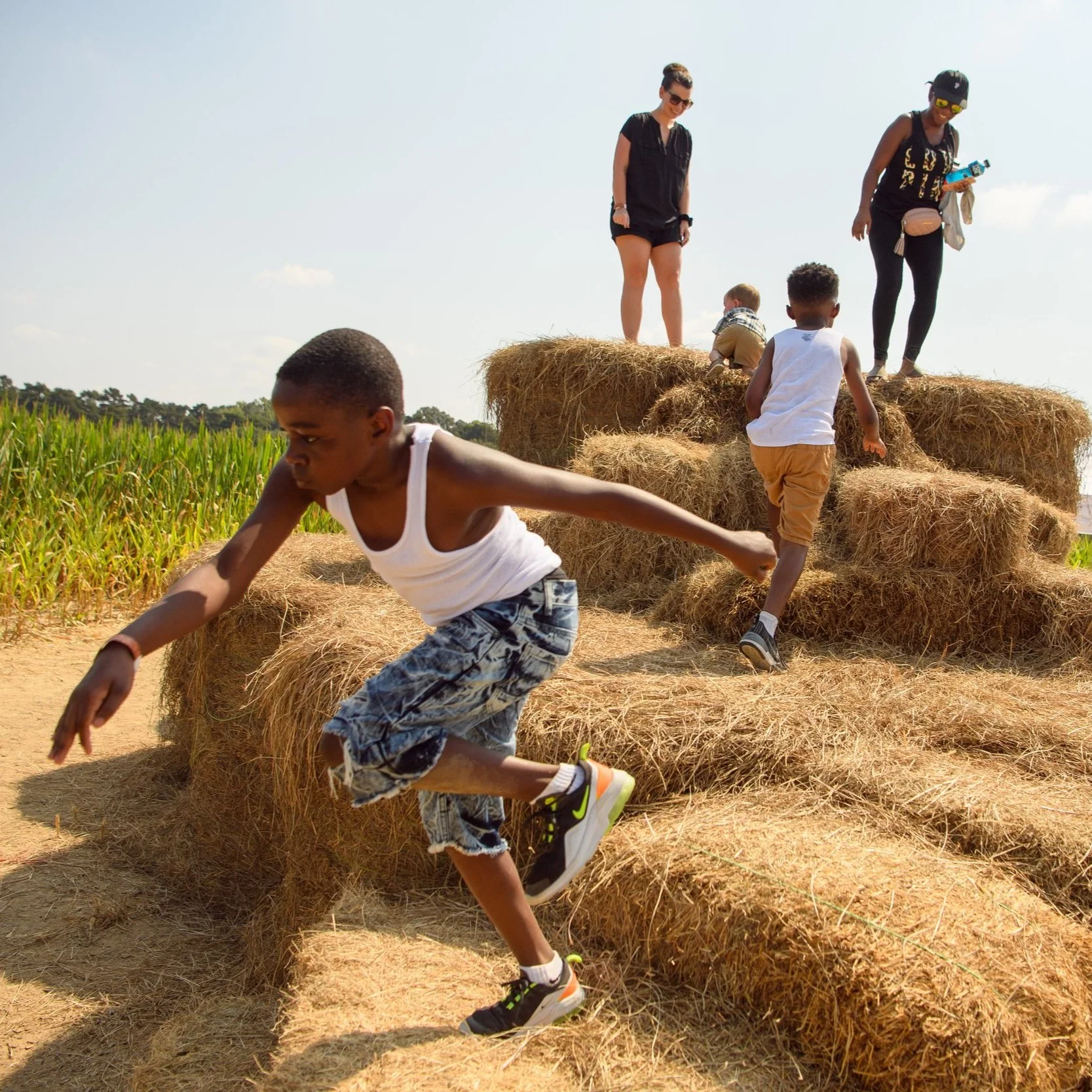 LSU AgCenter Botanic Gardens presents Corn Maze at Burden 2022 on Oct. 1-2
