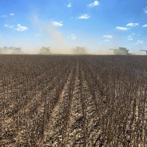 NELA Farmers Face Crisis