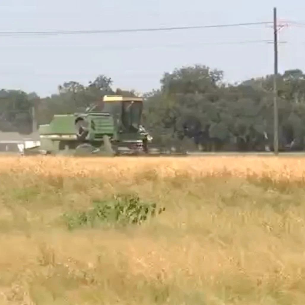 Acadiana Farmers Face Major Losses Due To Inflation And Summer Conditions