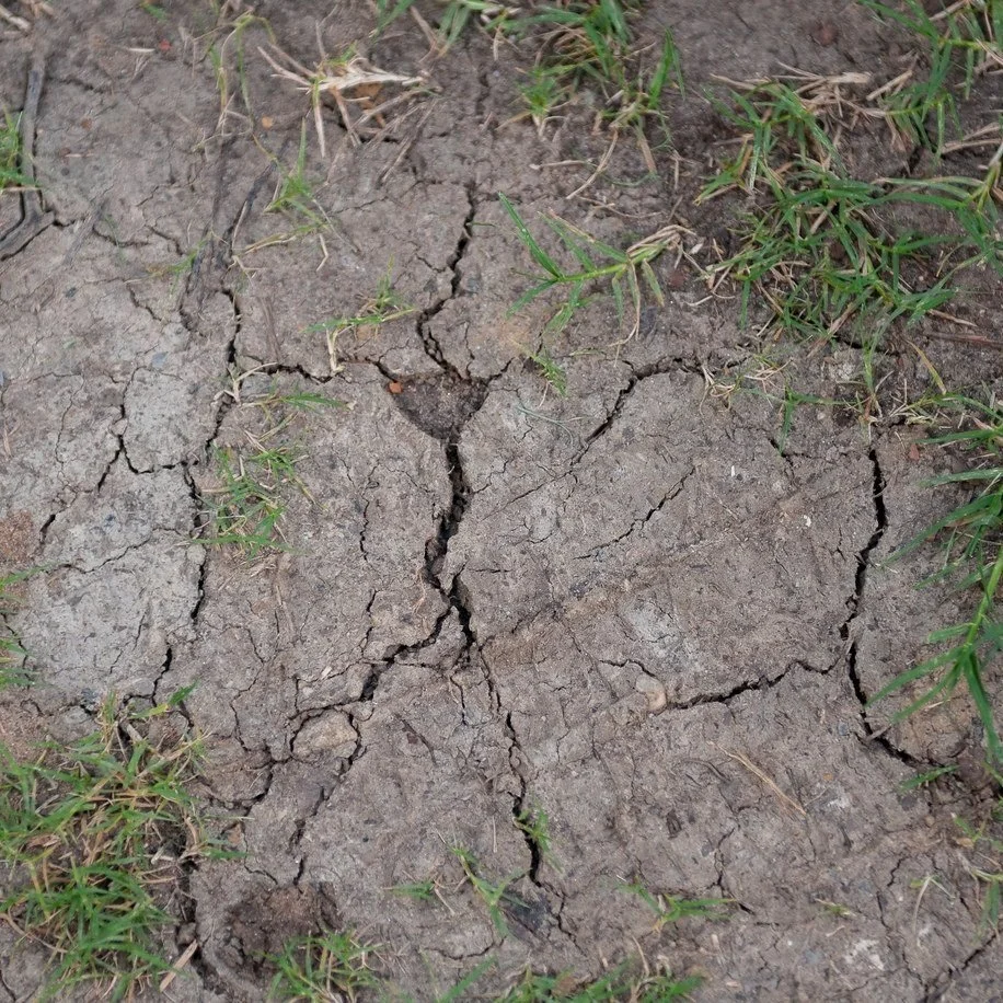 State Climatologist Says Louisiana Weather is Nearing Drought Conditions.