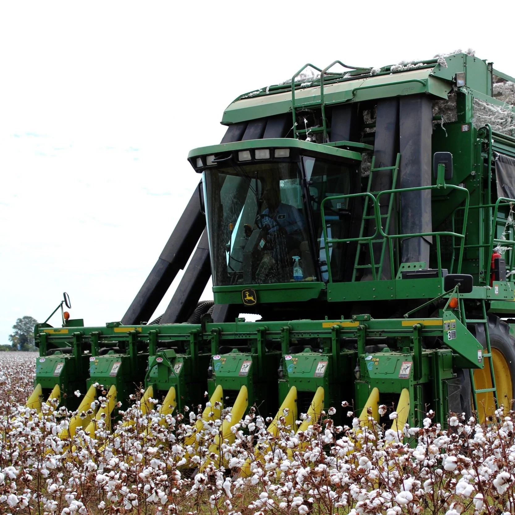 Louisiana Cotton Festival Begins Oct. 14
