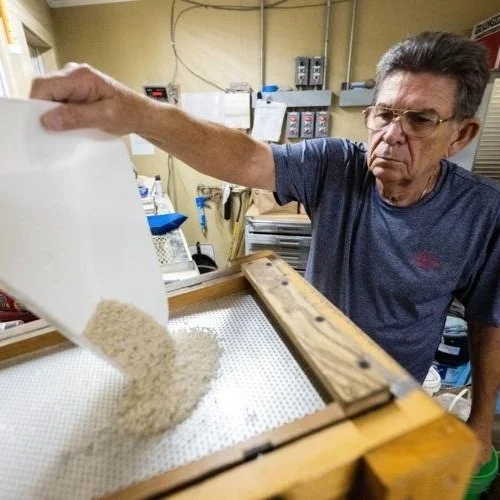 ‘It’s Been a Hard Year’: High Costs, Late Showers Combine To Challenge Louisiana Rice Farmers