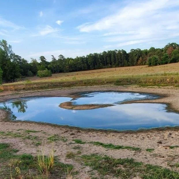 Drought conditions impacting ArkLaTex agriculture
